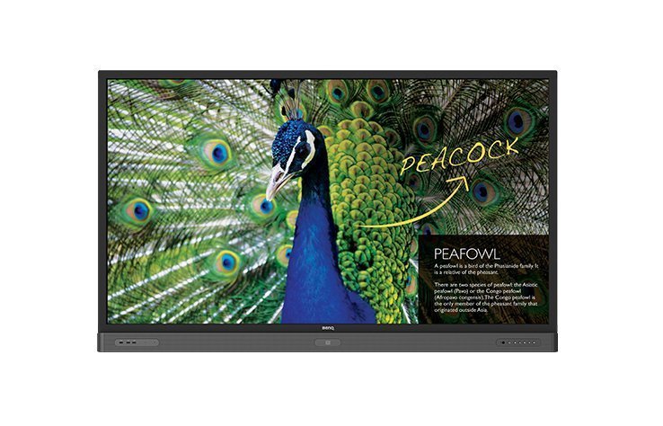 BenQ RP750K