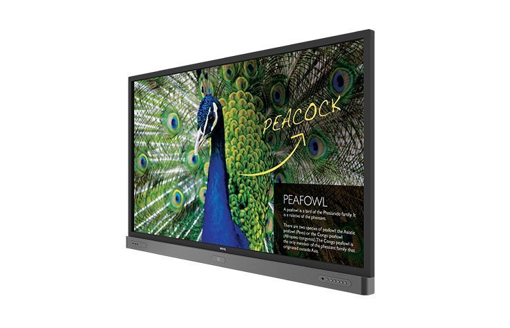 BenQ RP750K