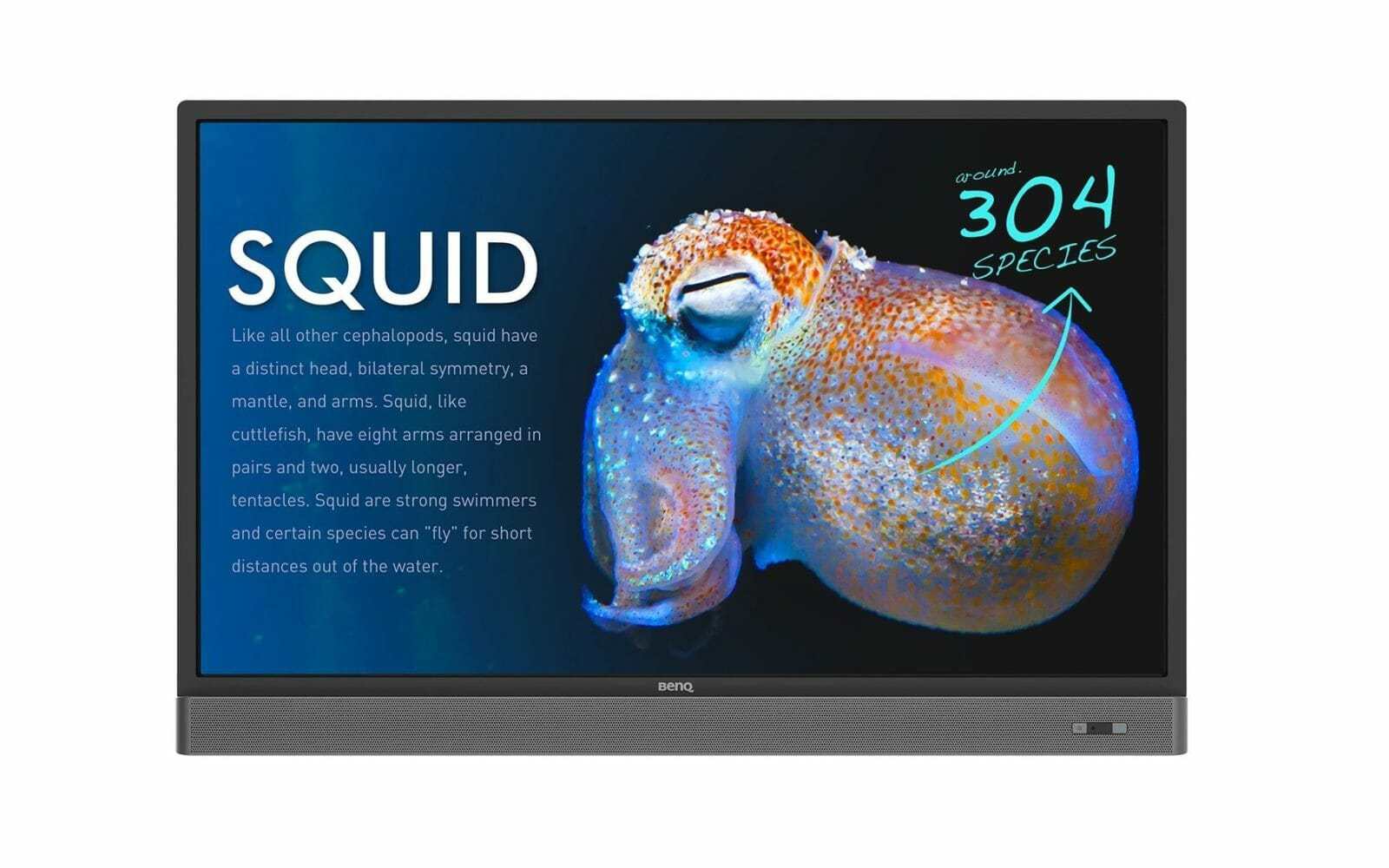 BenQ RP553K 1 min
