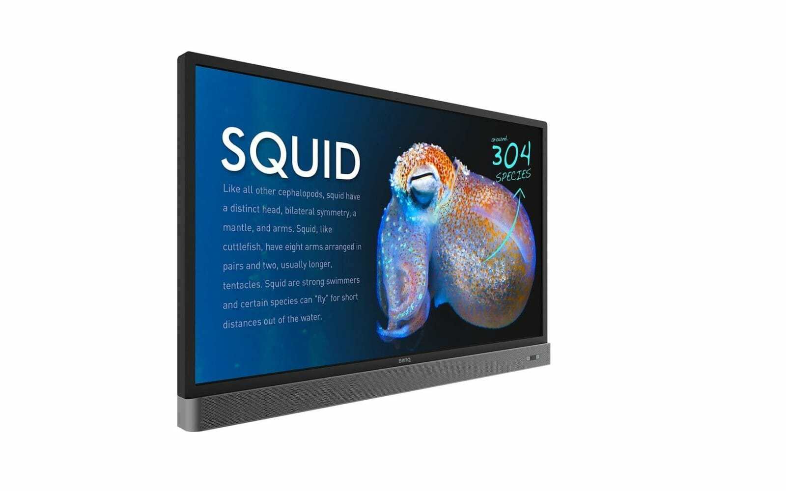 BenQ RP553K 2 min