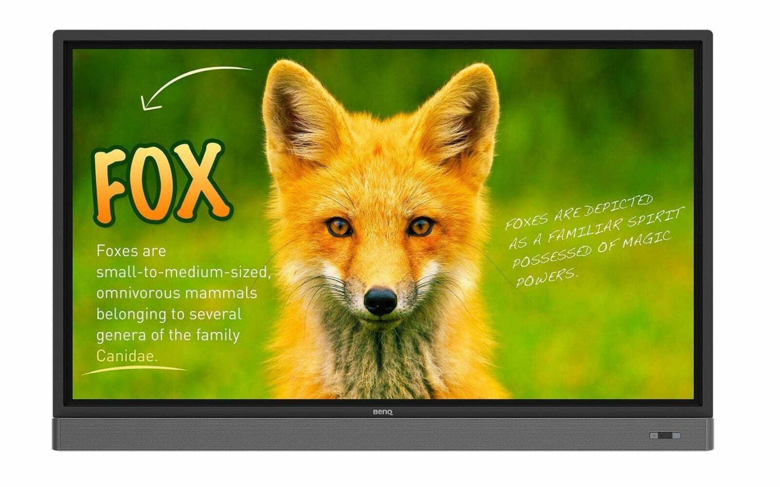 Monitory UHD od&nbsp;BenQ na&nbsp;powrót do&nbsp;szkoły