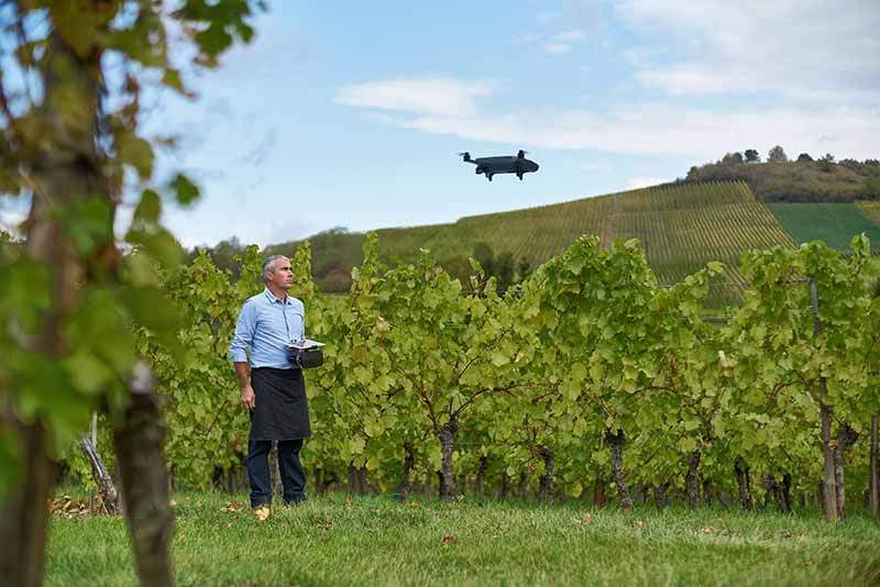 Dron Bluegrass