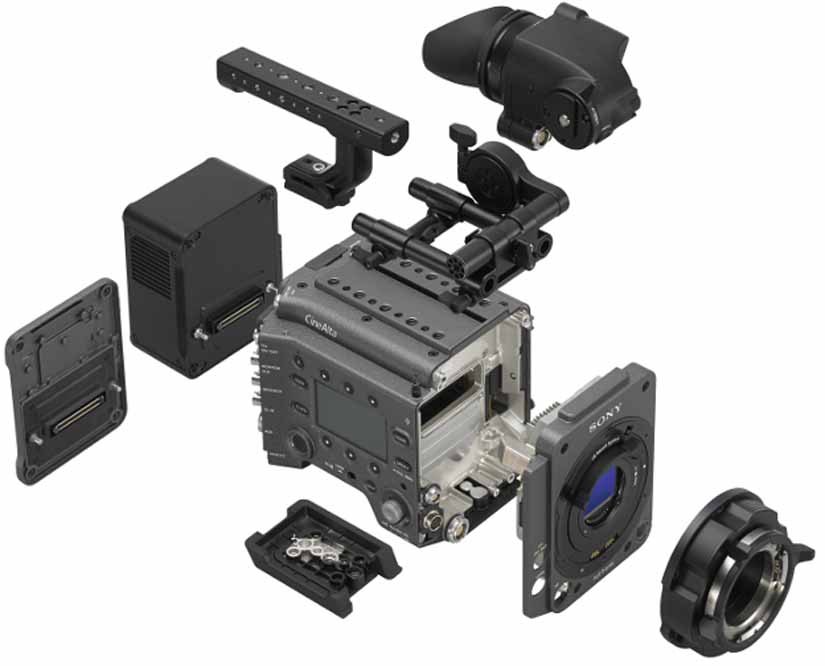 Sony Venice