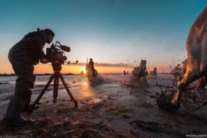 Colibri Productions Sony Venice