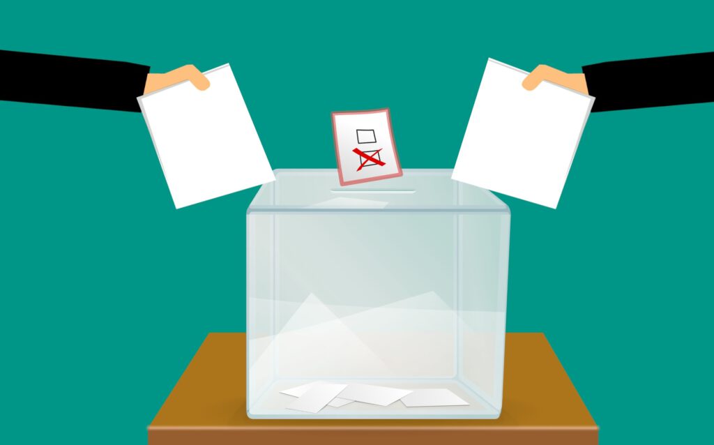 wybory, voting