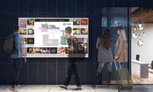 Sony, Bravia