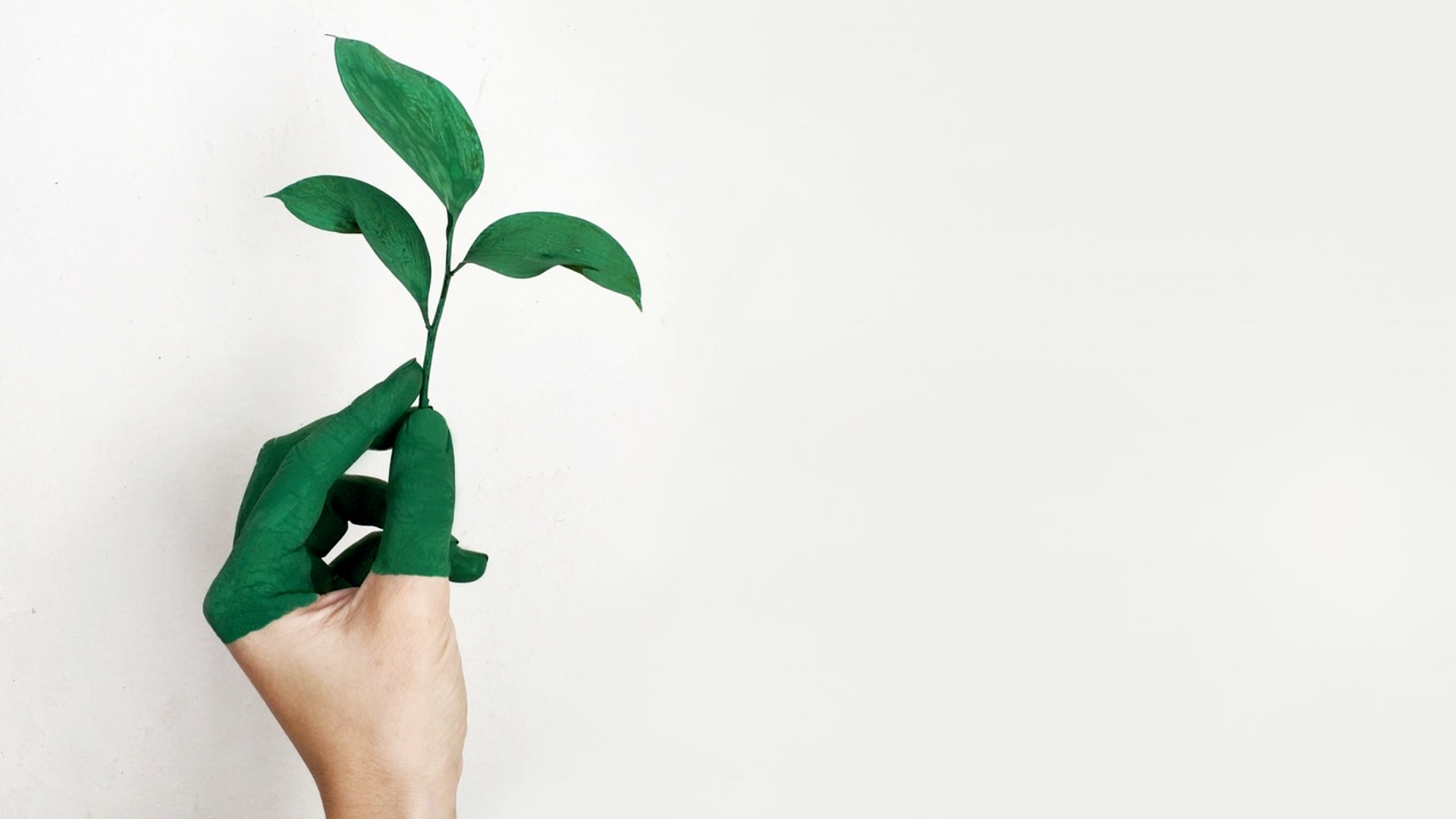 CSR nie&nbsp;tylko&nbsp;dla gigantów. Średnie firmy też chcą eko-transformacji