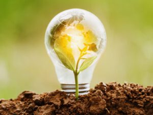 CSR-environment-business