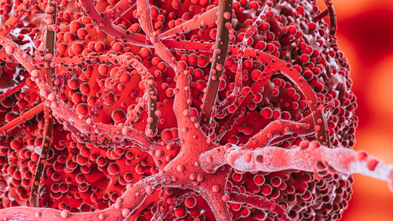 Przełom w&nbsp;biodruku 3 – technika tworzenia naczyń krwionośnych ożywia medycynę regeneracyjną