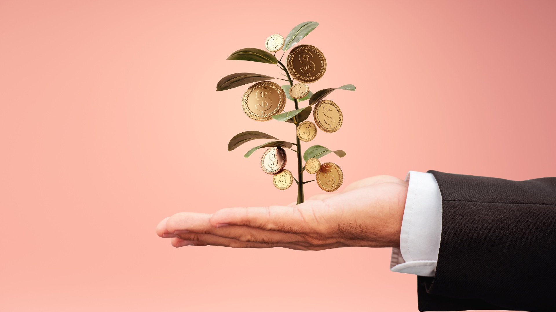 Venture Capital market in 2025. Decline in small investments and new trends in IT
