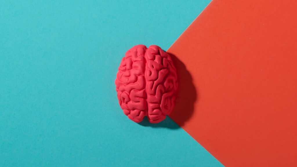 brain, neuralink
