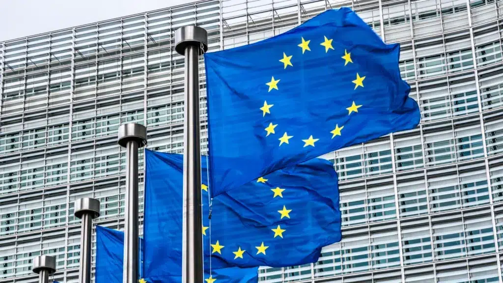Unia Europejska, NIs2