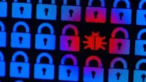 cyber security, malware, torrents