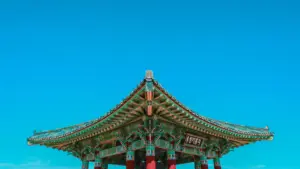 Korea południowa, chipy