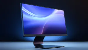 Monitory