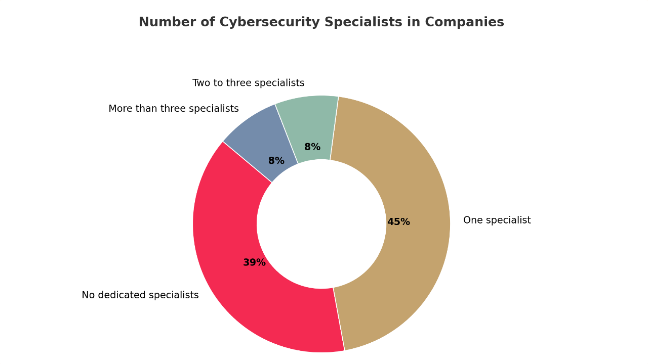 Poland’s alarming skills gap. Why are we such an easy target for hackers?