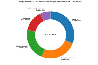 Wydatki na it