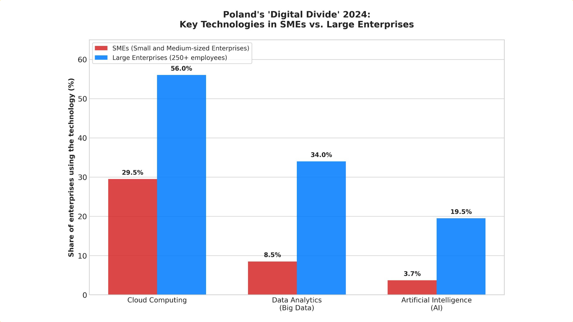 Two-speed digitalisation. Where does Polish business place billions of zlotys on IT?