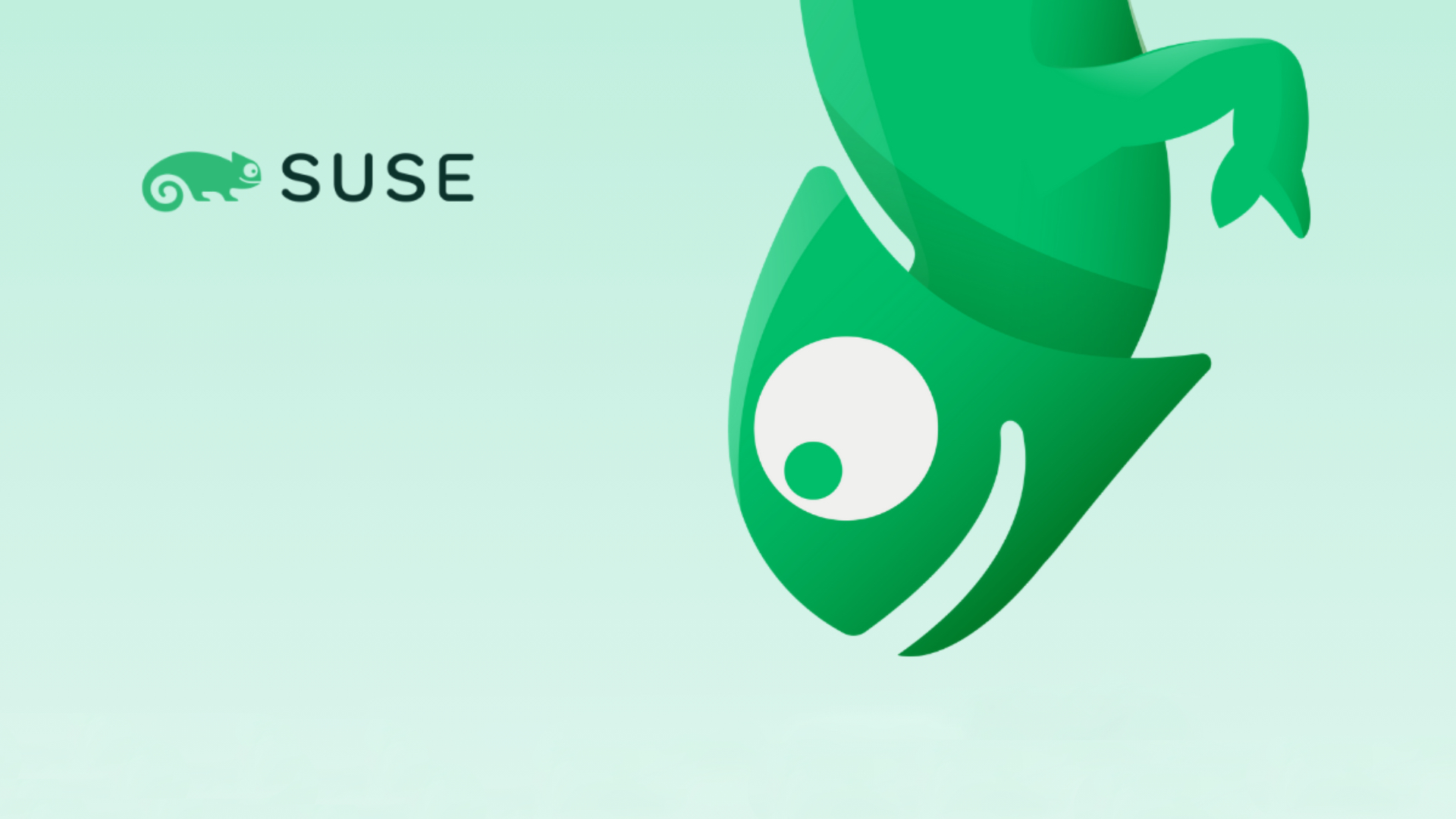 EQT rozważa sprzedaż SUSE. Możliwa rekordowa wycena giganta Linux